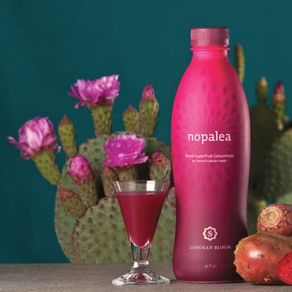 Nopalea Juice Chronic Inflammation