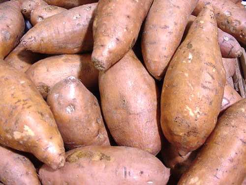 Sweet potato health benefits