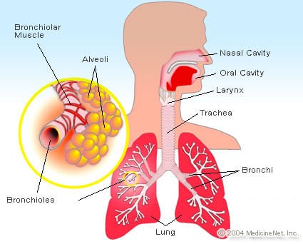 Acute Bronchitis Treatment