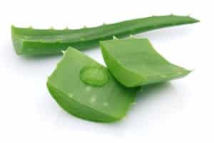 Aloe vera – The Miracle Herb - Health Benefits