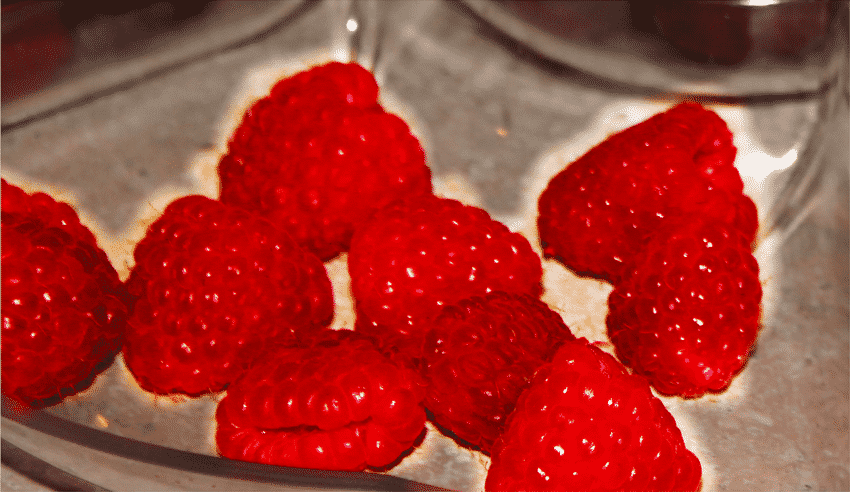 Pure raspberry ketones